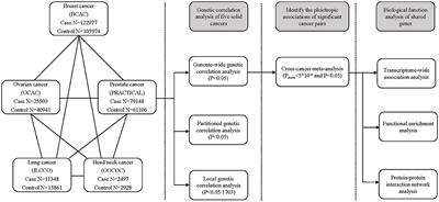 A genome-wide cross-cancer meta-analysis highlights the shared genetic links of five solid cancers